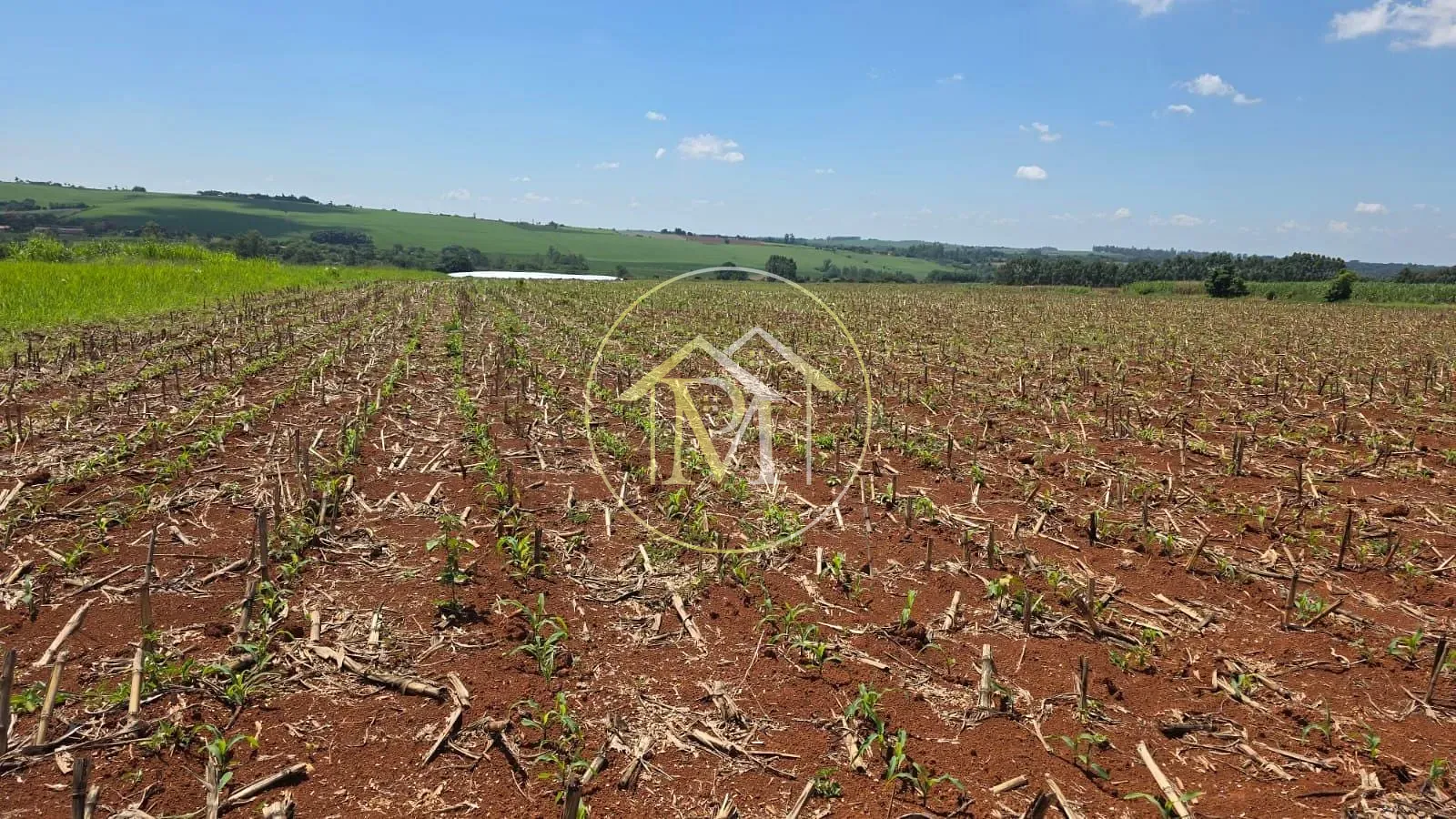 Fazenda, 16 hectares - Foto 7