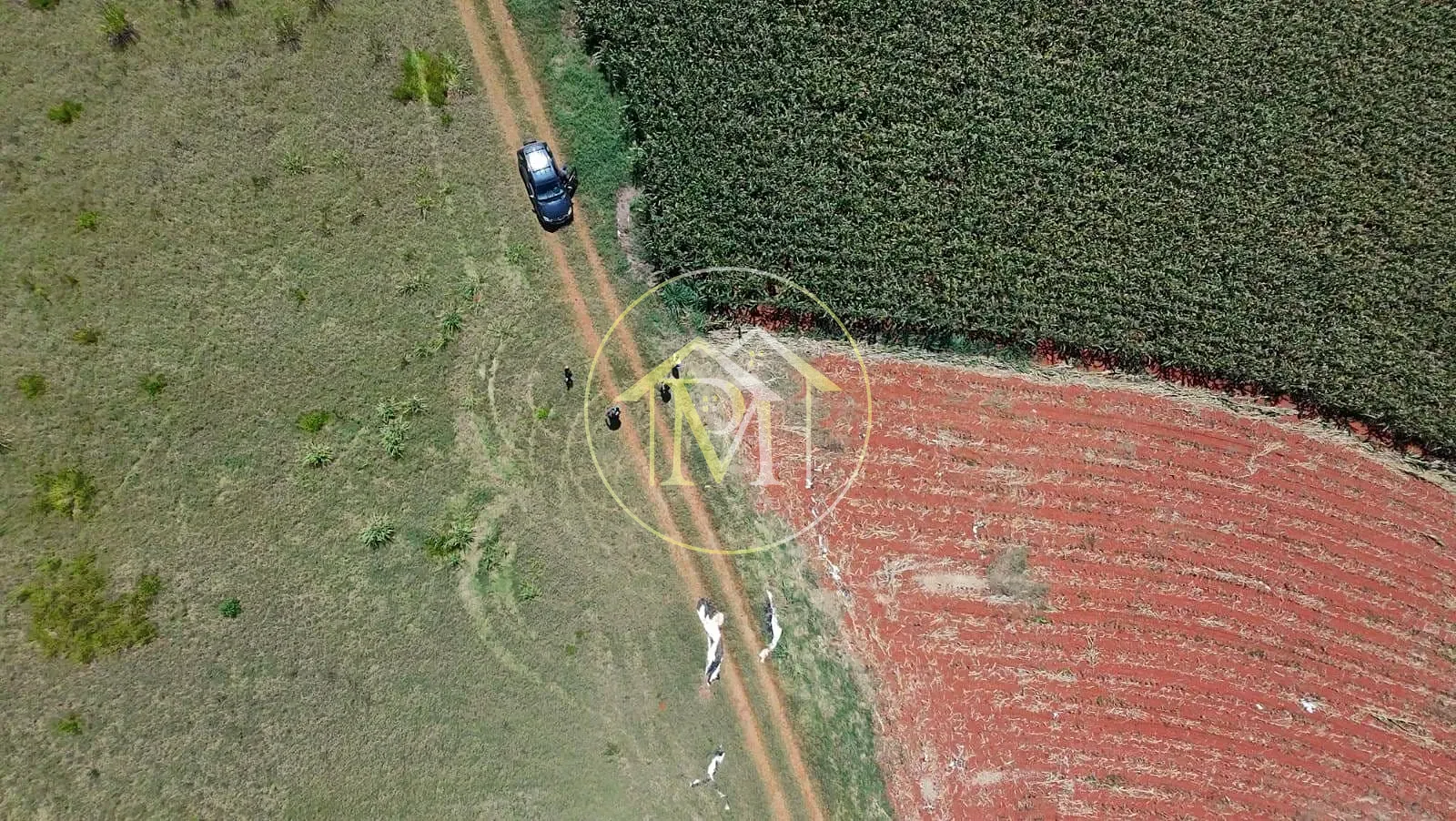 Sítio, 16 hectares - Foto 4