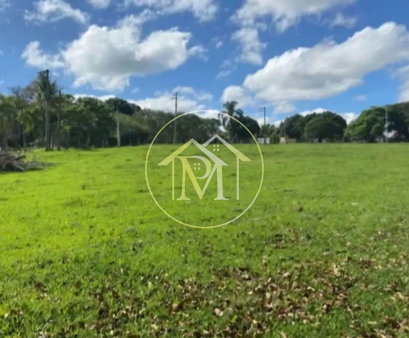 Fazenda, 8 hectares - Foto 2