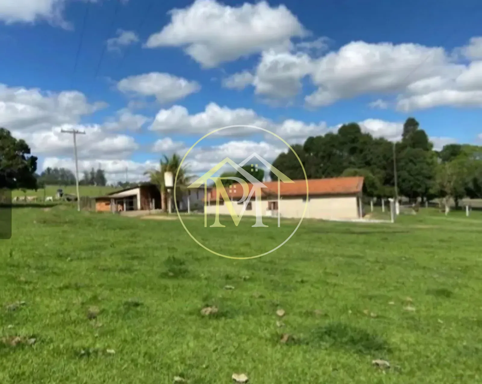 Fazenda, 8 hectares - Foto 3