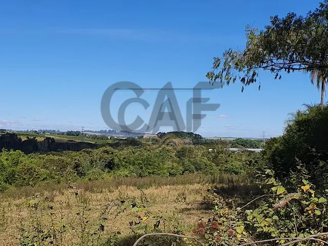 Sítio com 130000m² 3 quartos e 3 banheiros, à venda, no bairro Borda da Mata em Jaguariúna