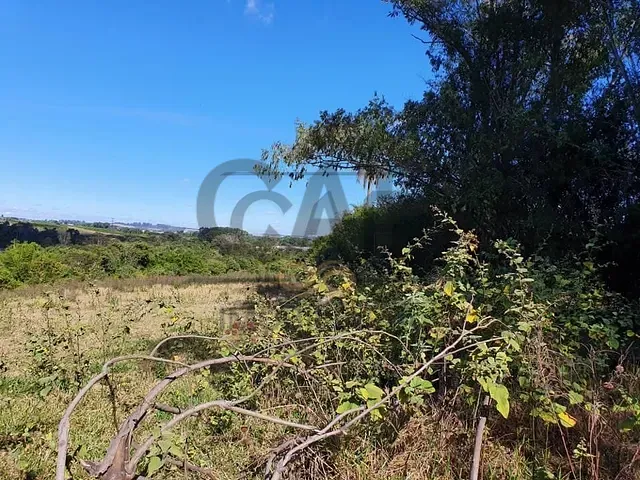 Sítio com 130000m² 3 quartos e 3 banheiros, à venda, no bairro Borda da Mata em Jaguariúna