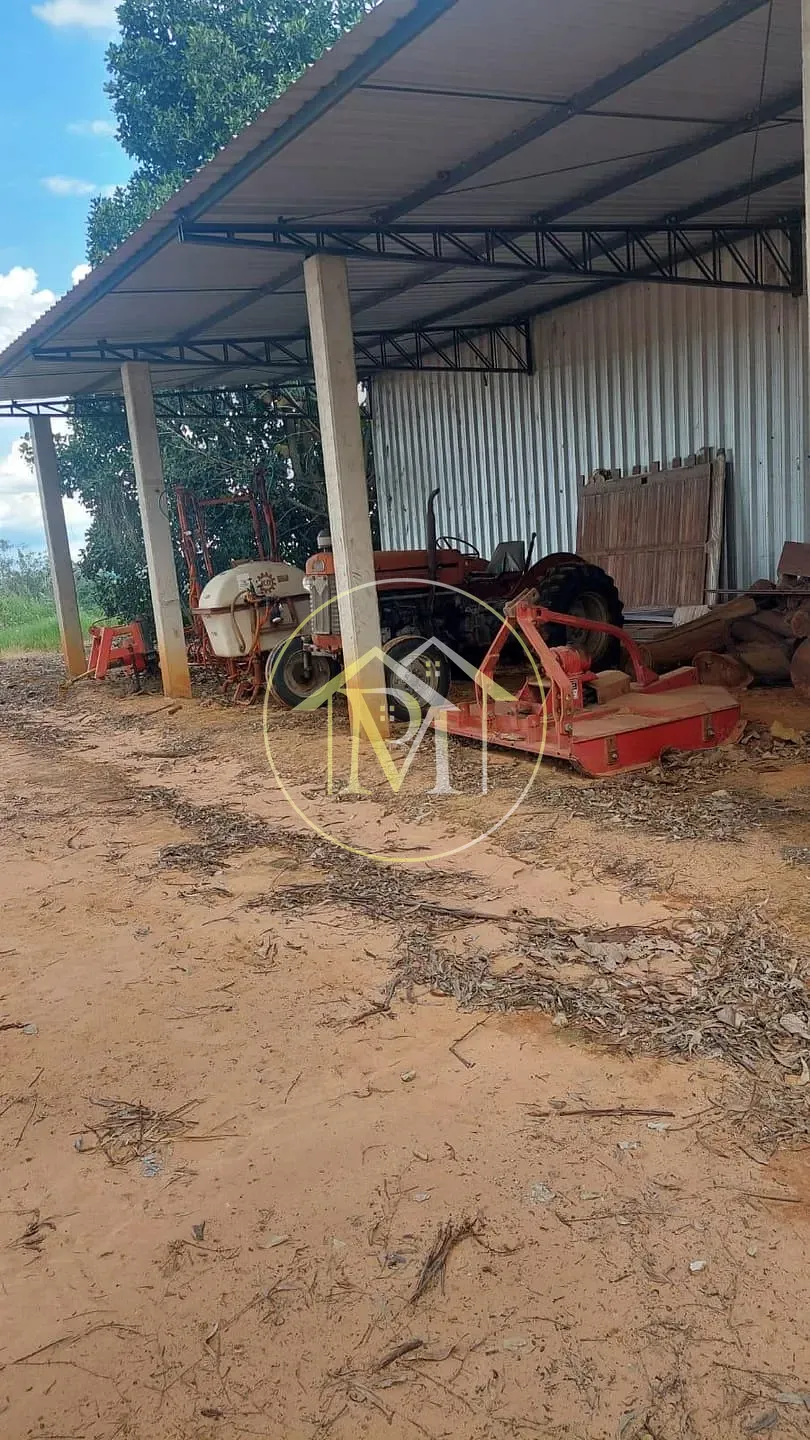 Fazenda, 16 hectares - Foto 10