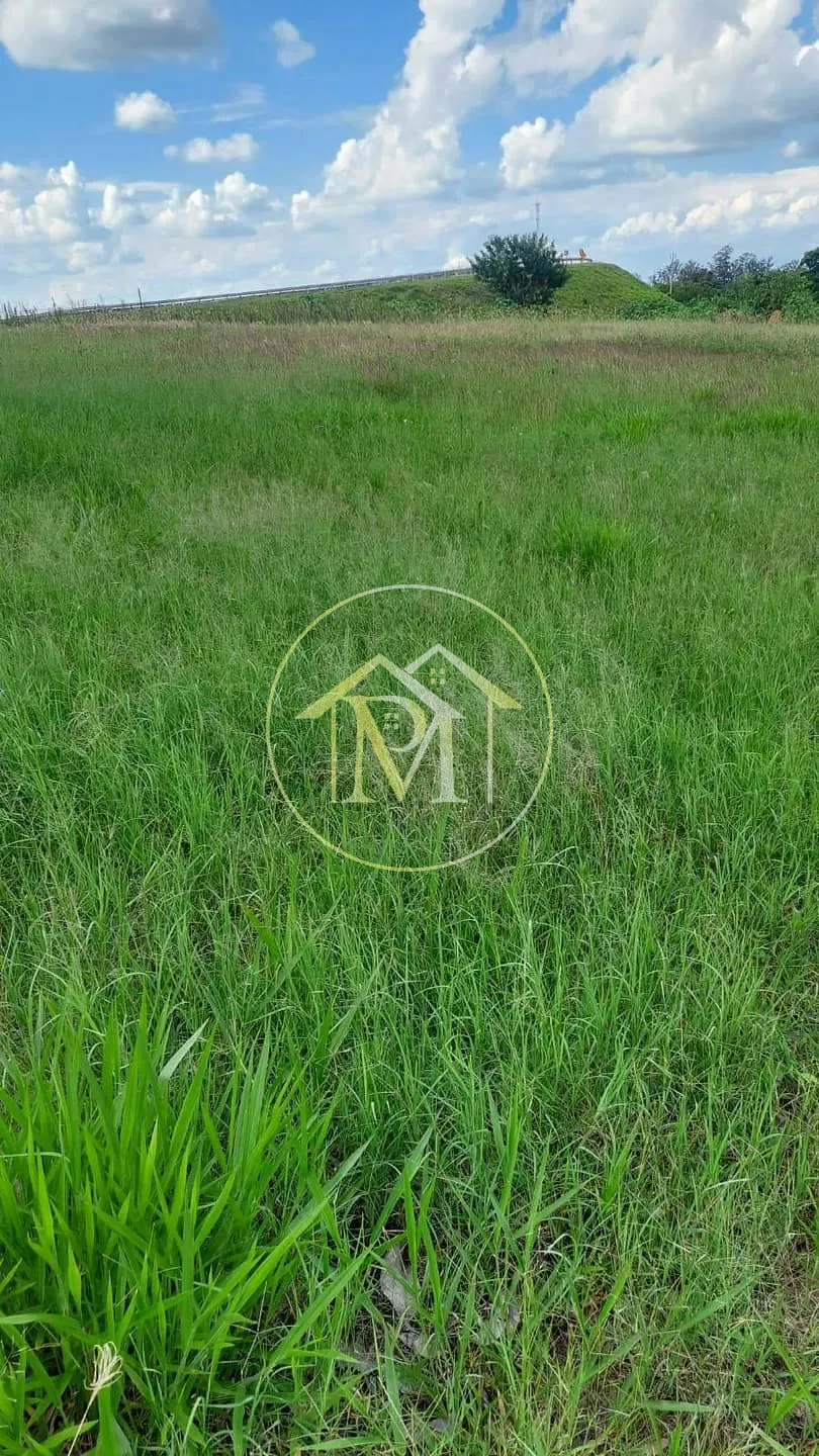 Fazenda, 16 hectares - Foto 17