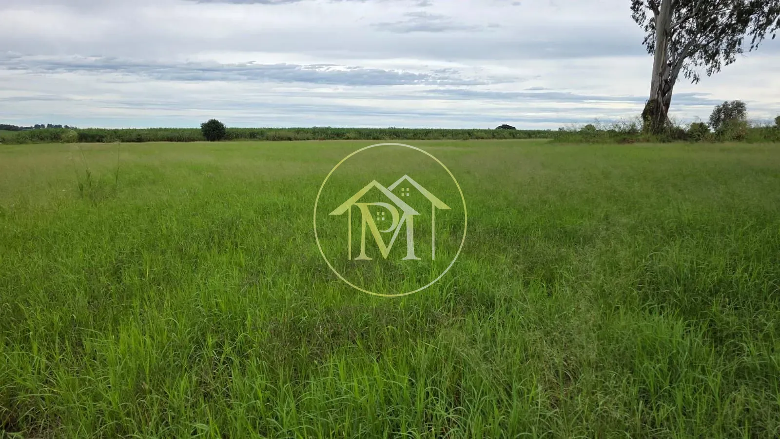 Fazenda, 16 hectares - Foto 23
