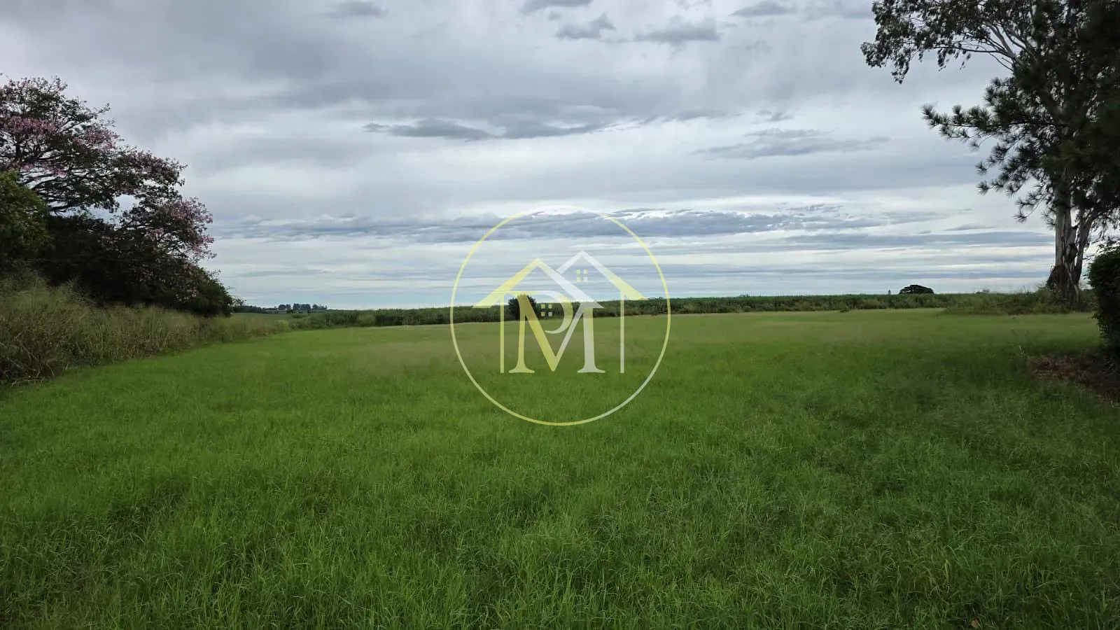 Fazenda, 16 hectares - Foto 24