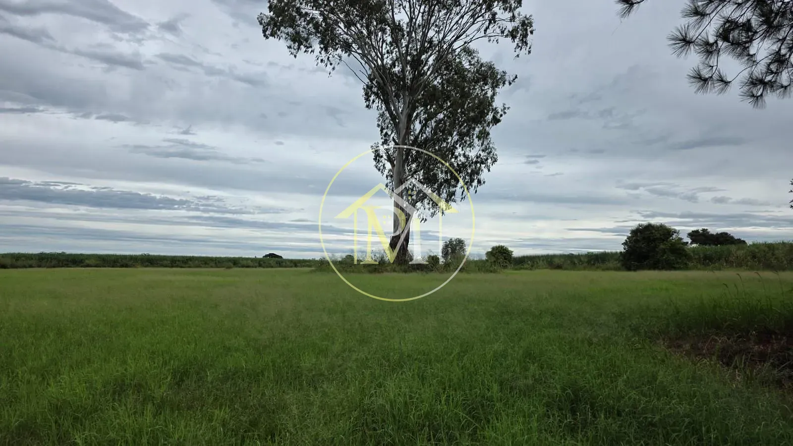 Fazenda, 16 hectares - Foto 25