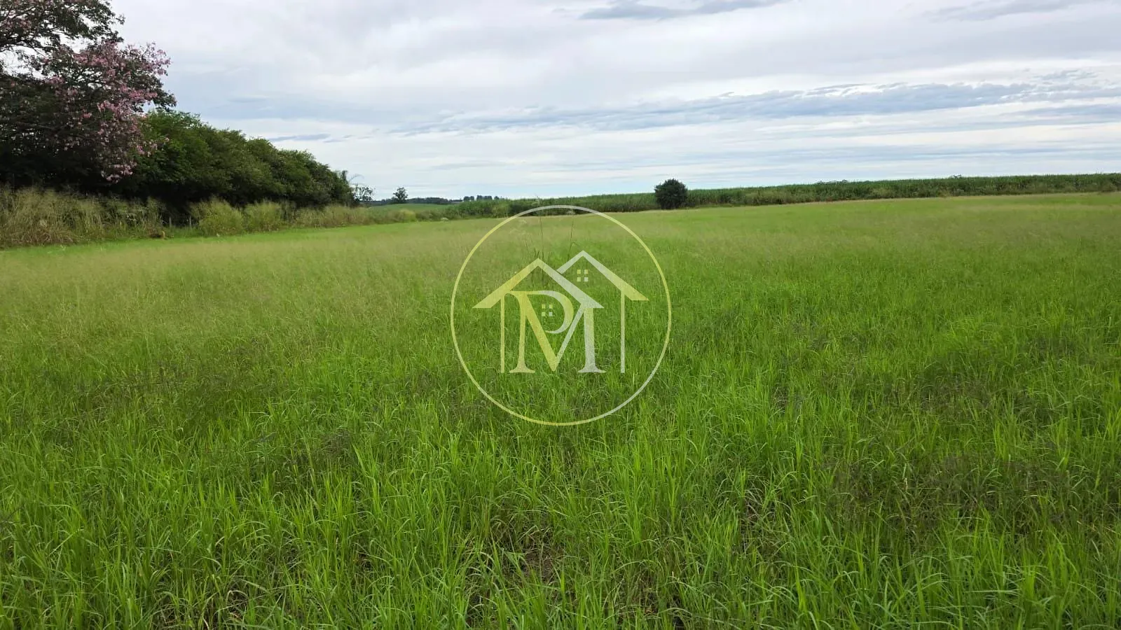 Fazenda, 16 hectares - Foto 26