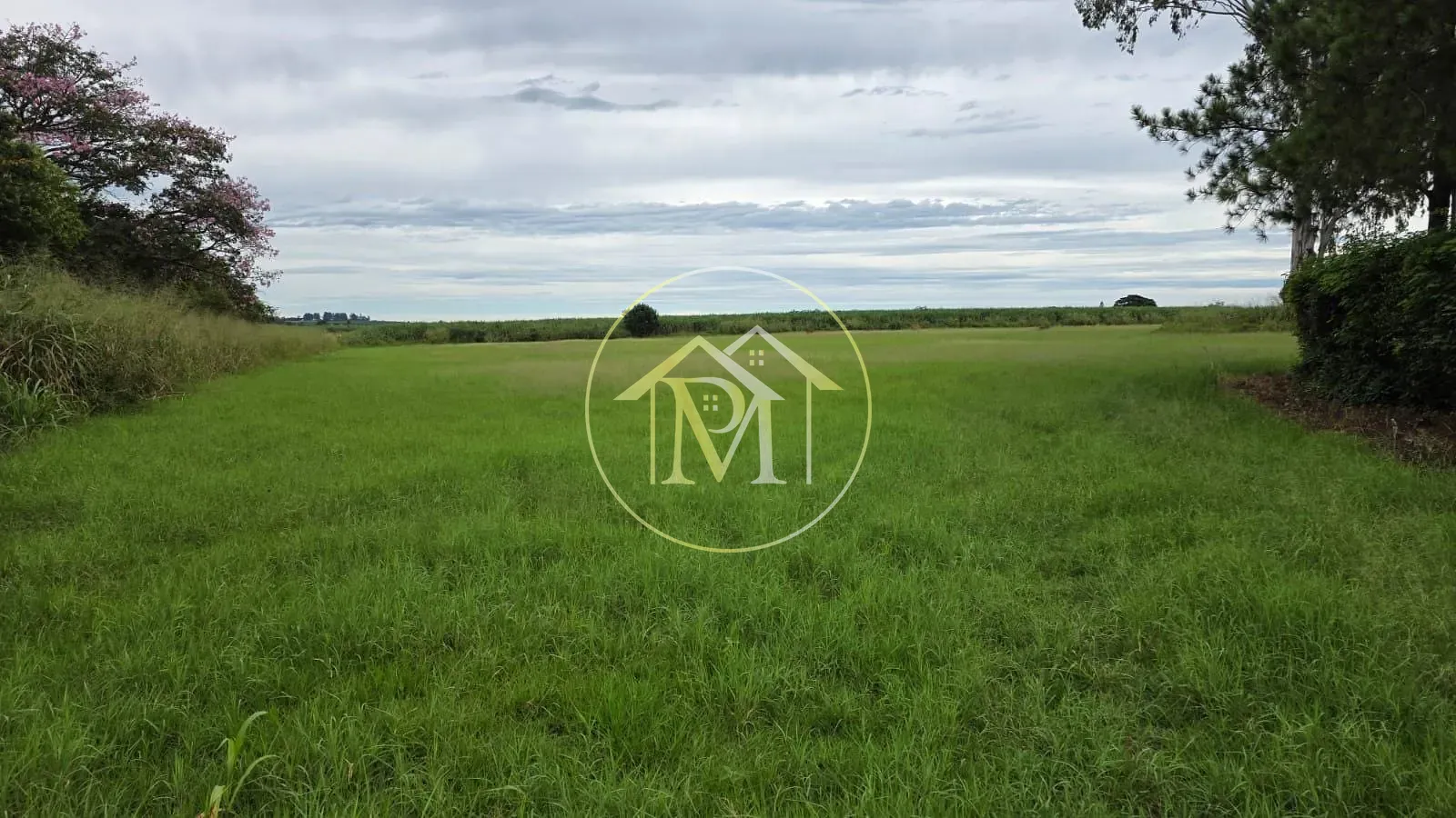 Fazenda, 16 hectares - Foto 28