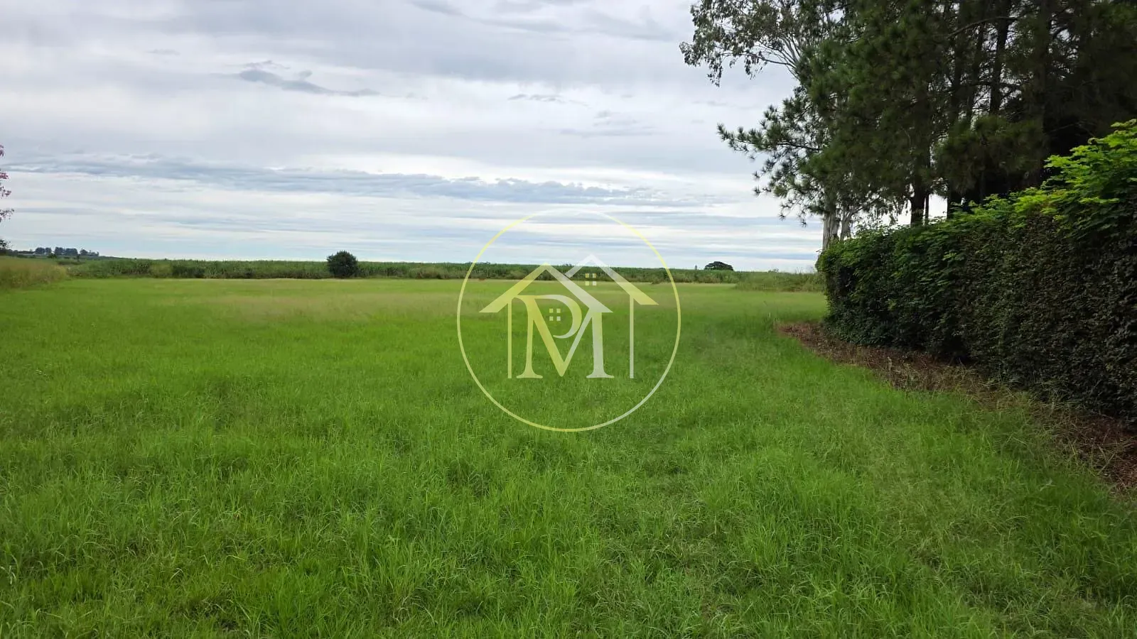 Fazenda, 16 hectares - Foto 29