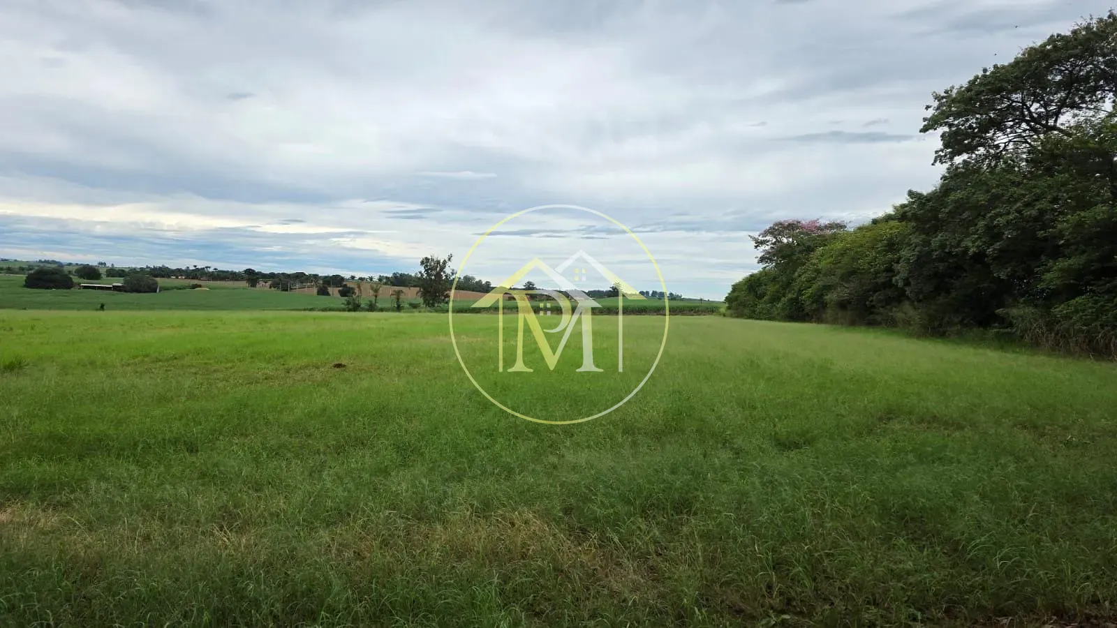 Fazenda, 16 hectares - Foto 32