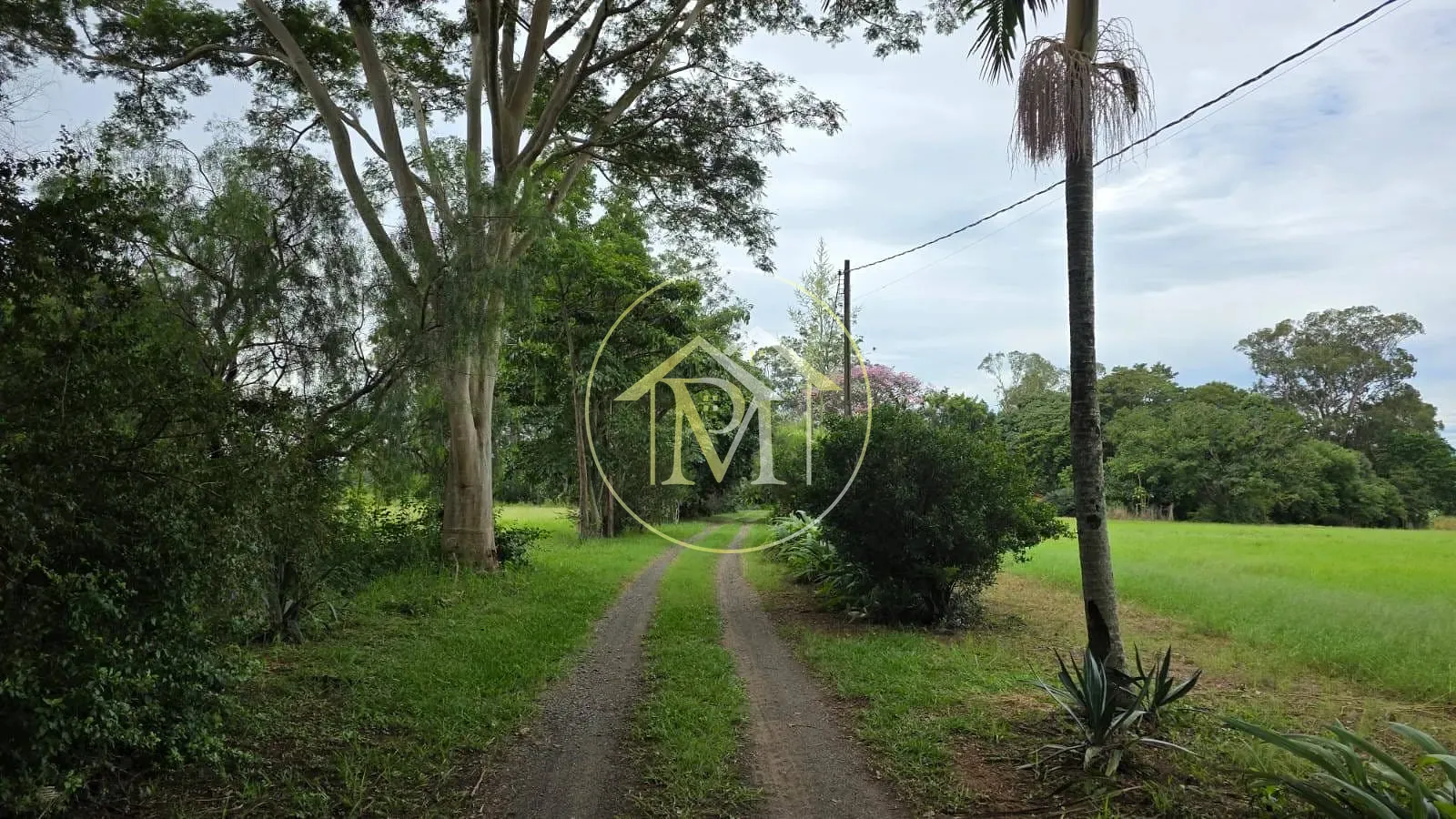 Fazenda, 16 hectares - Foto 34