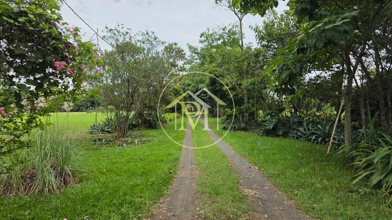 Fazenda, 16 hectares - Foto 36