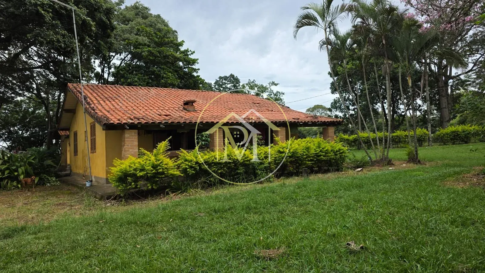 Fazenda, 16 hectares - Foto 39