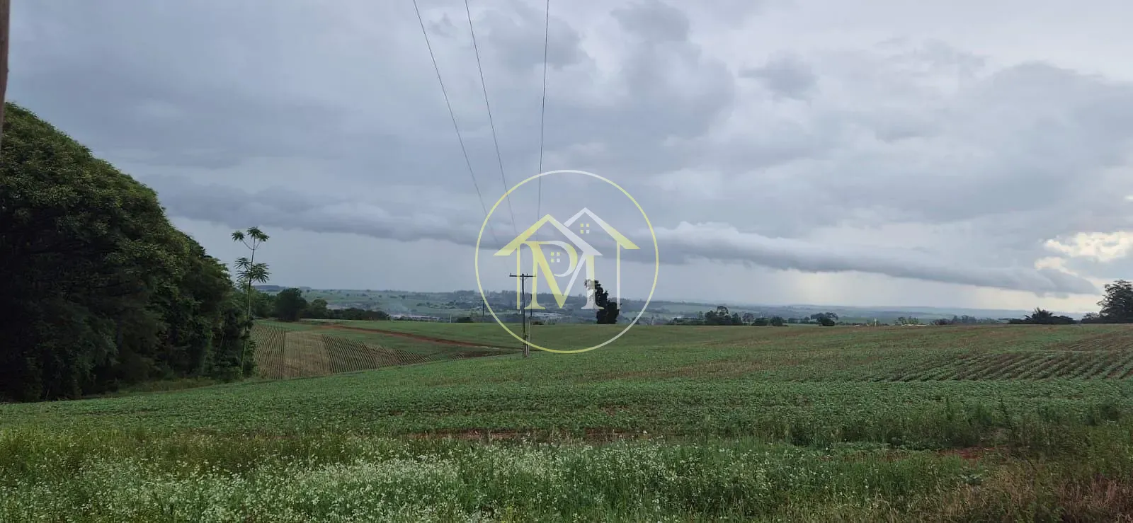 Fazenda, 48 hectares - Foto 6