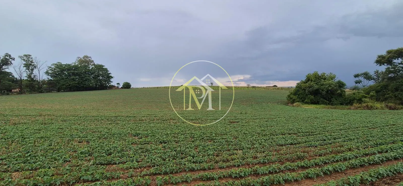 Fazenda, 48 hectares - Foto 7