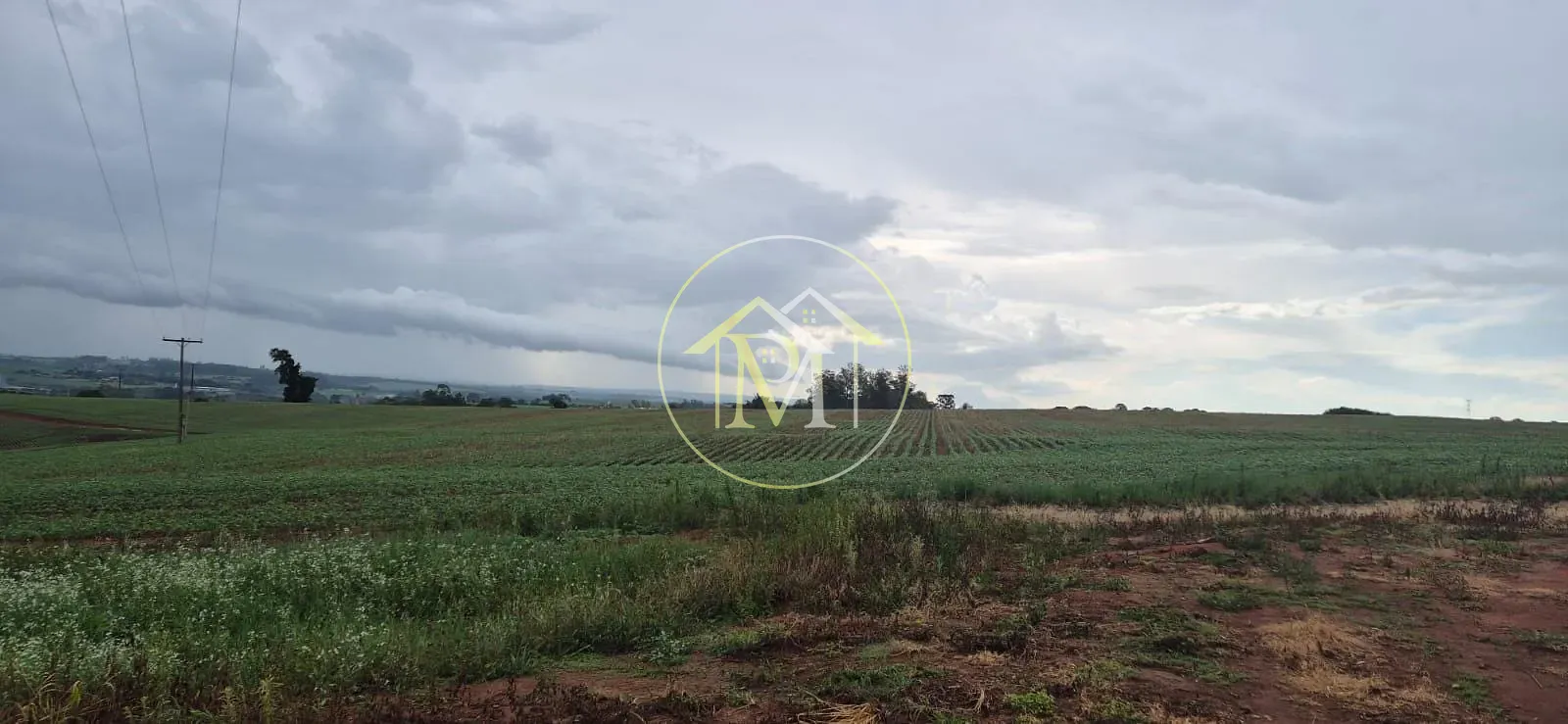 Fazenda, 48 hectares - Foto 9