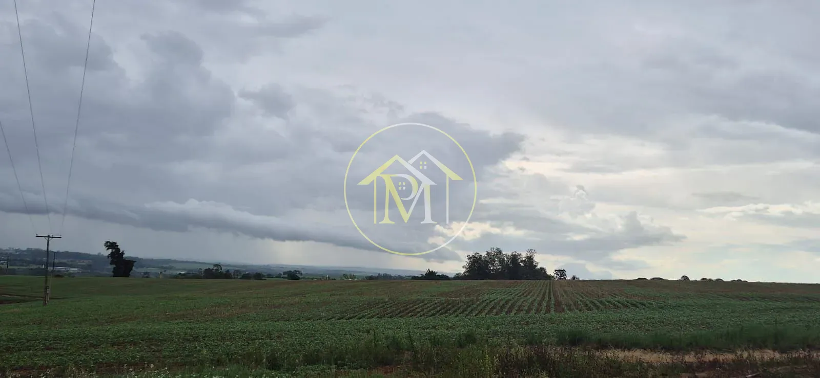 Fazenda, 48 hectares - Foto 2