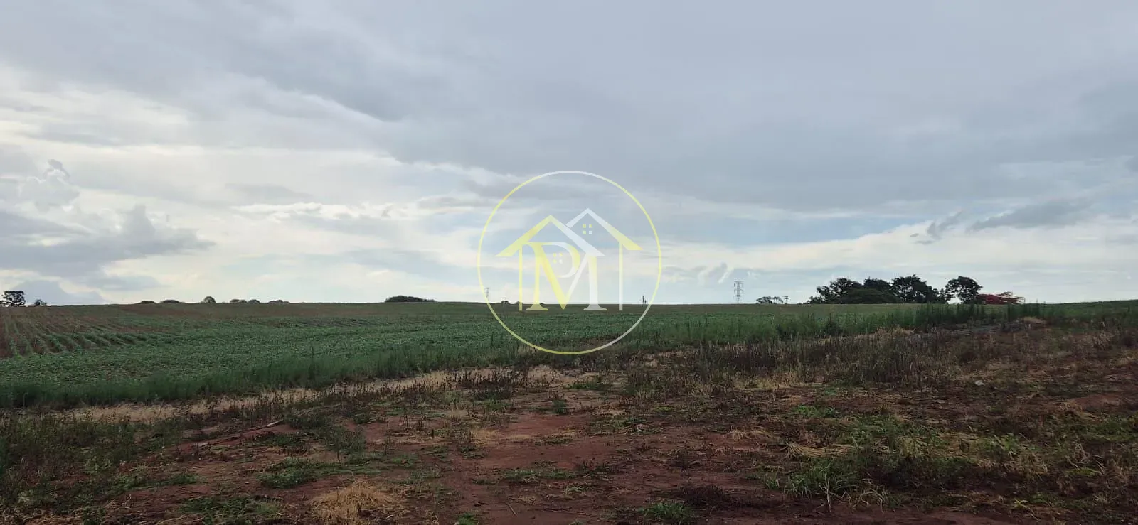 Fazenda, 48 hectares - Foto 3