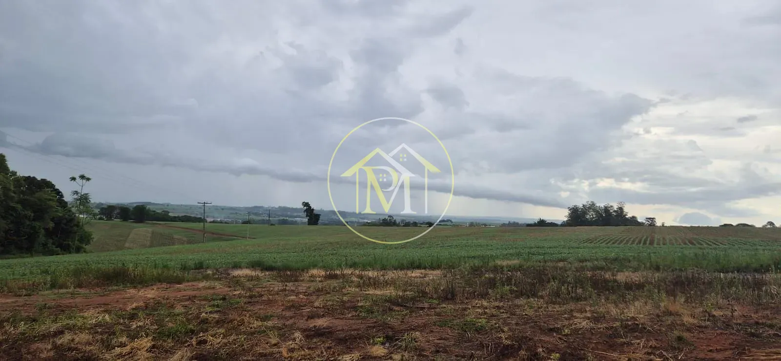 Fazenda, 48 hectares - Foto 4