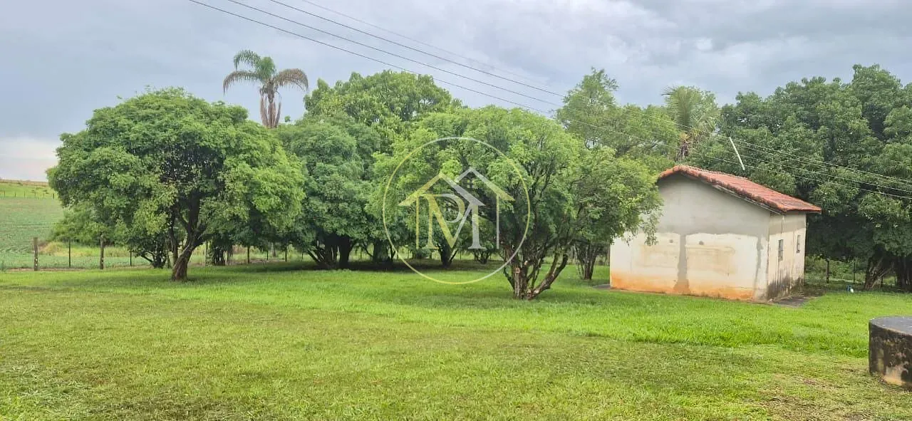 Fazenda, 48 hectares - Foto 10