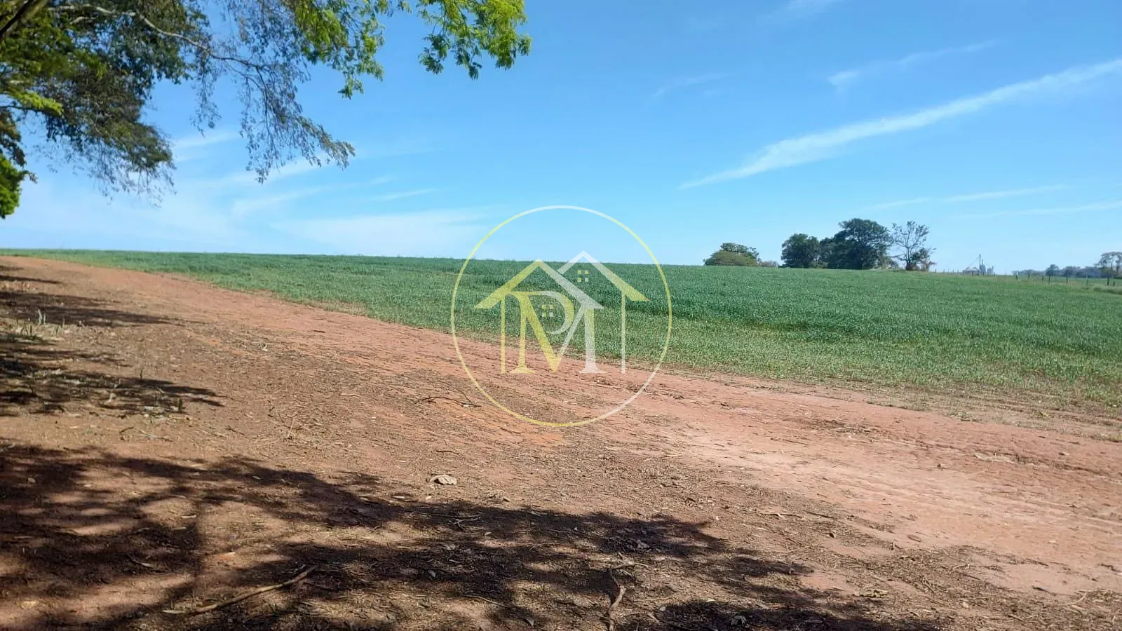 Fazenda, 48 hectares - Foto 11