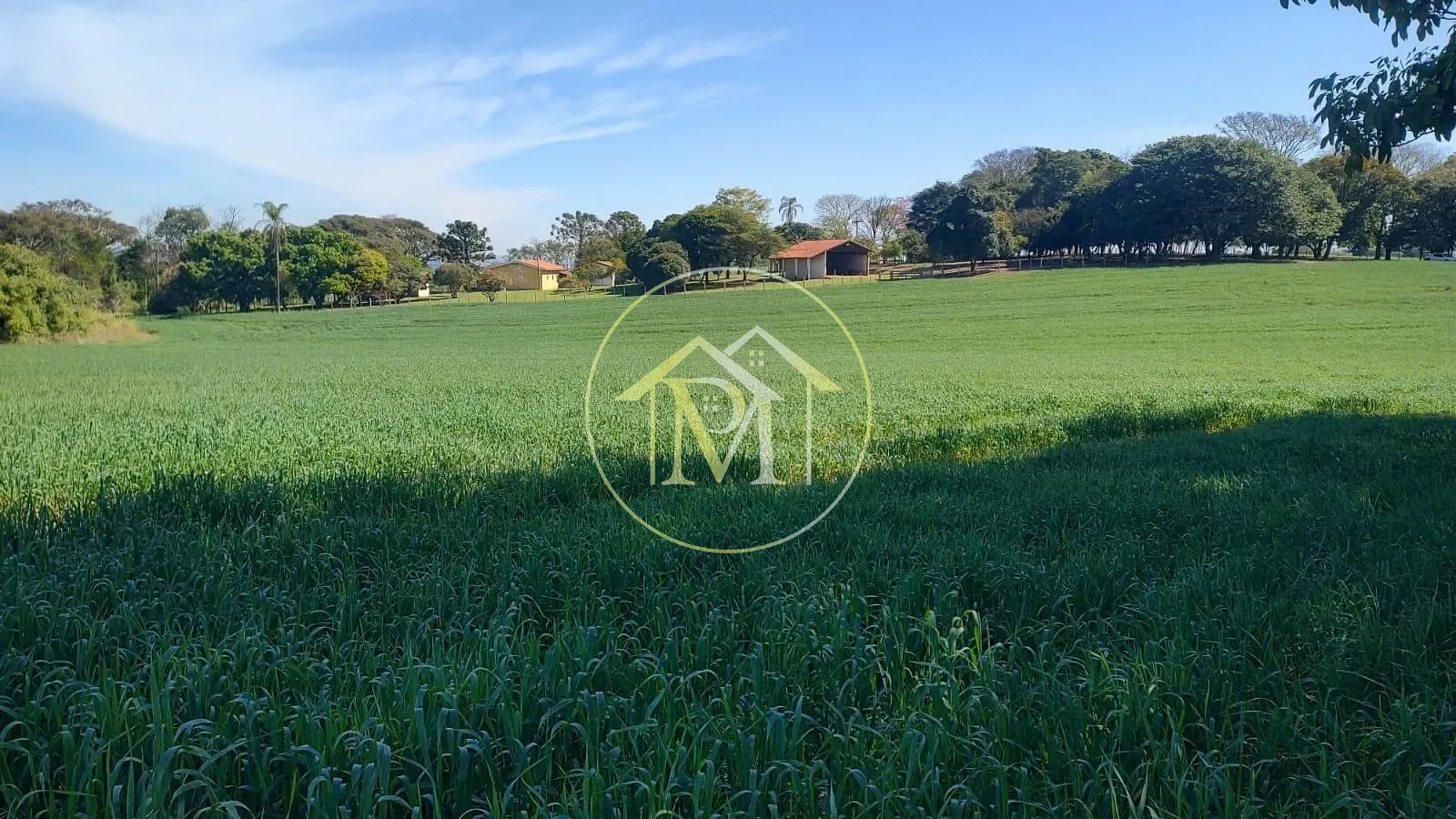 Fazenda, 48 hectares - Foto 13