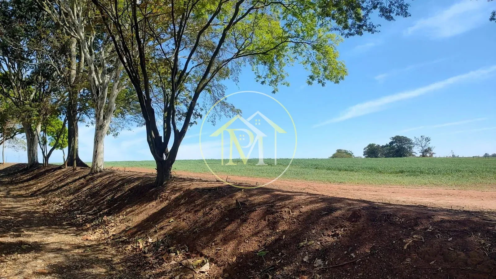 Fazenda, 48 hectares - Foto 14