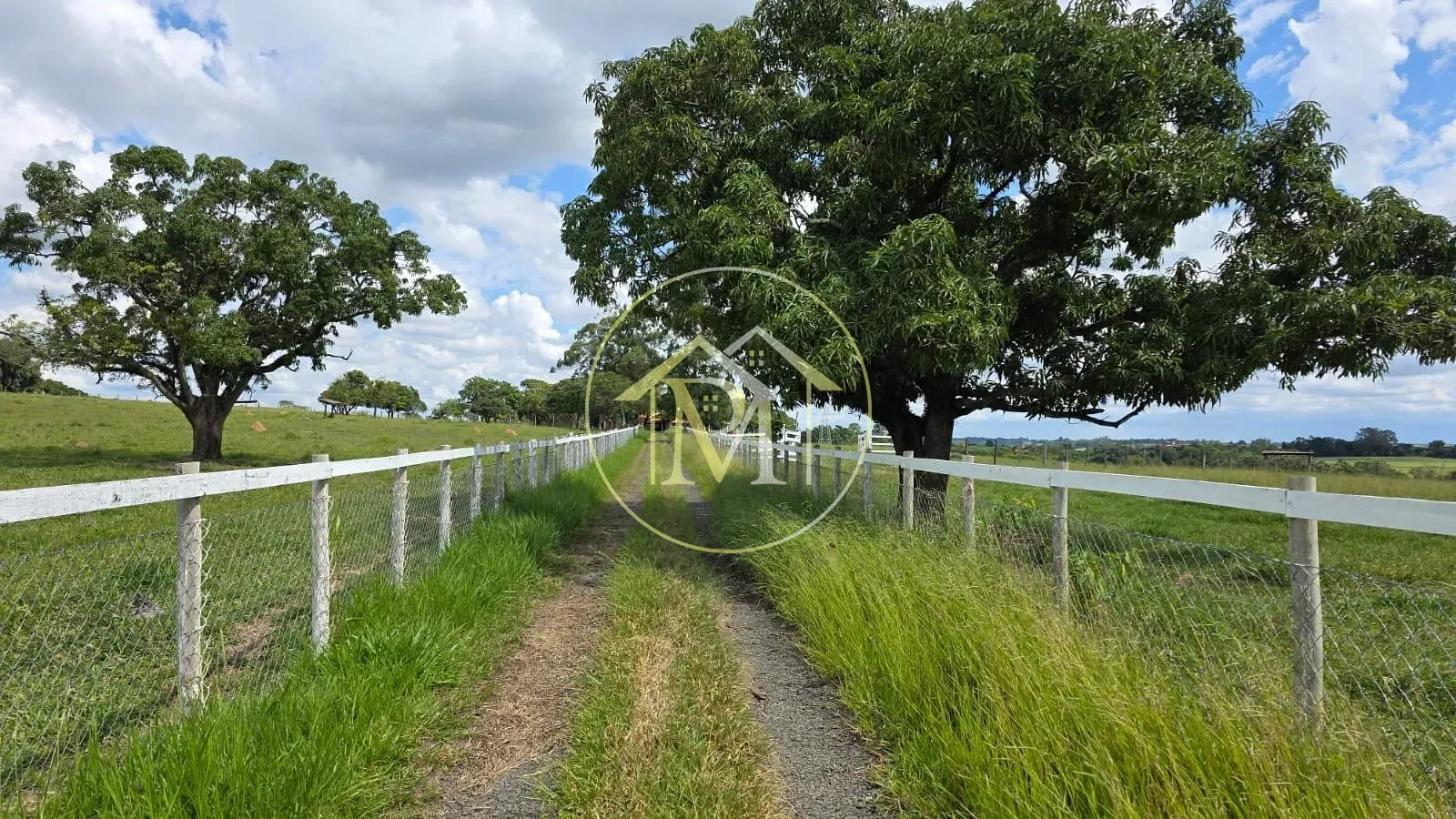 Fazenda, 15 hectares - Foto 3