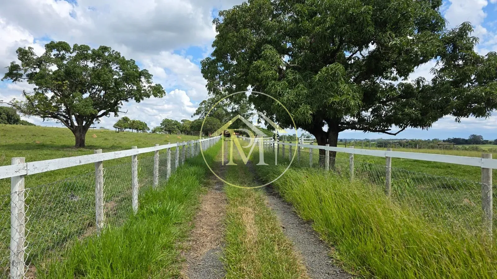 Fazenda, 15 hectares - Foto 8
