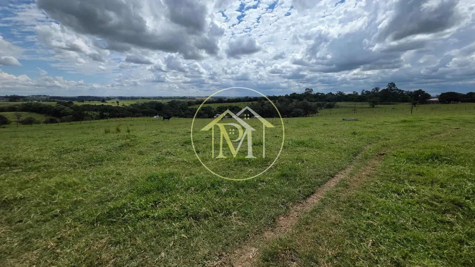 Fazenda, 15 hectares - Foto 9