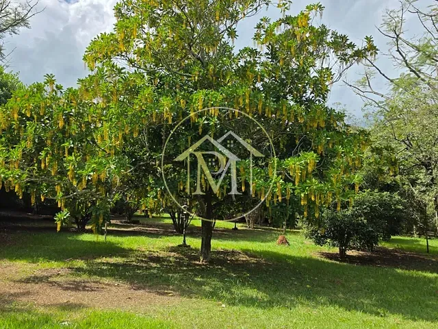 Sítio com 217800m² 3 quartos e 2 banheiros, à venda, no bairro Rural em Porto Feliz