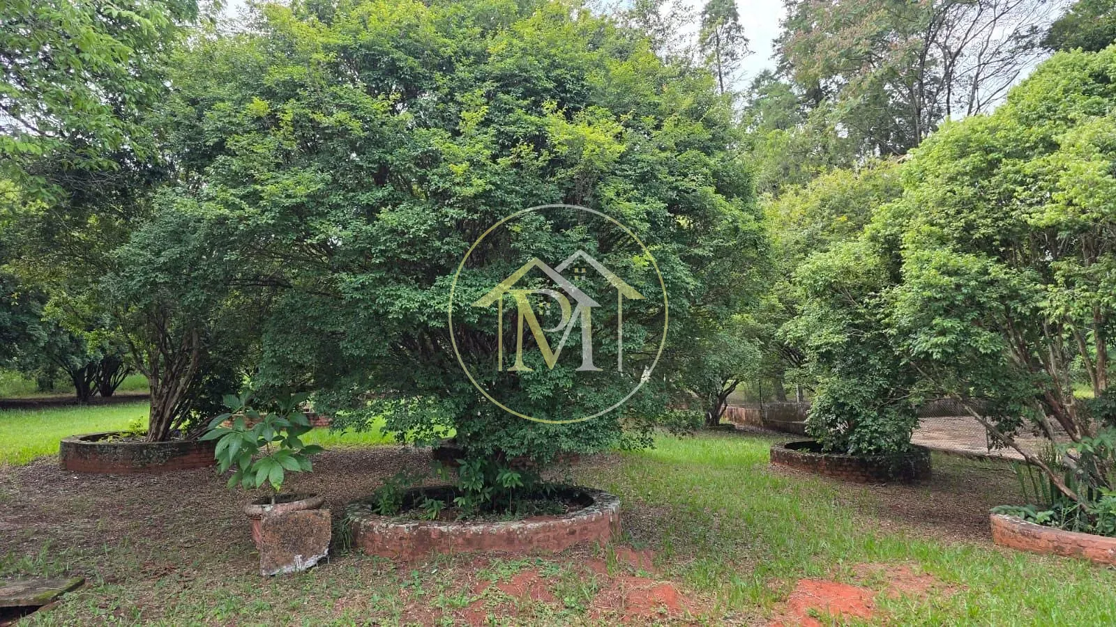 Fazenda, 22 hectares - Foto 19