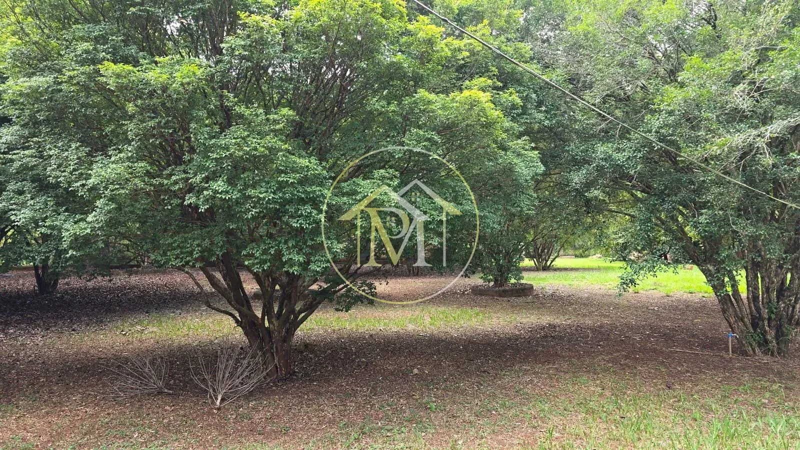Fazenda, 22 hectares - Foto 4