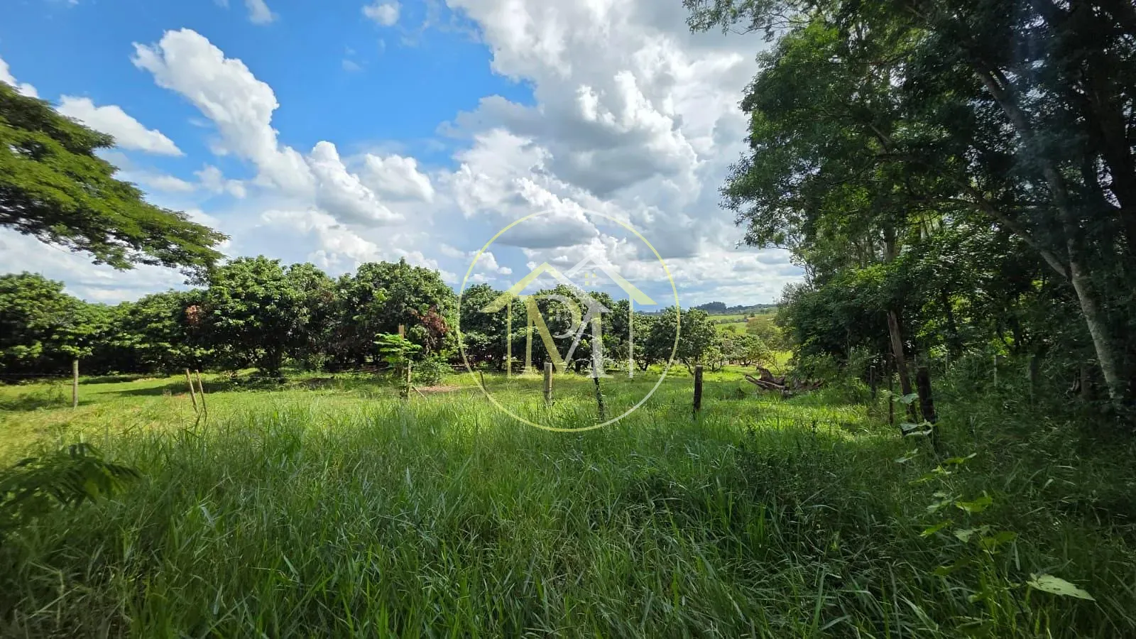 Fazenda, 22 hectares - Foto 2