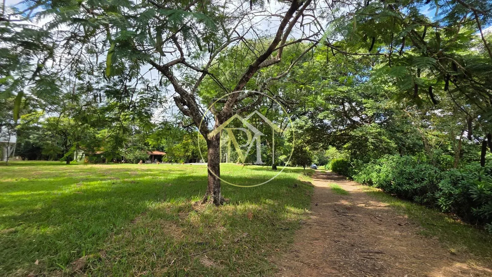 Fazenda, 22 hectares - Foto 11