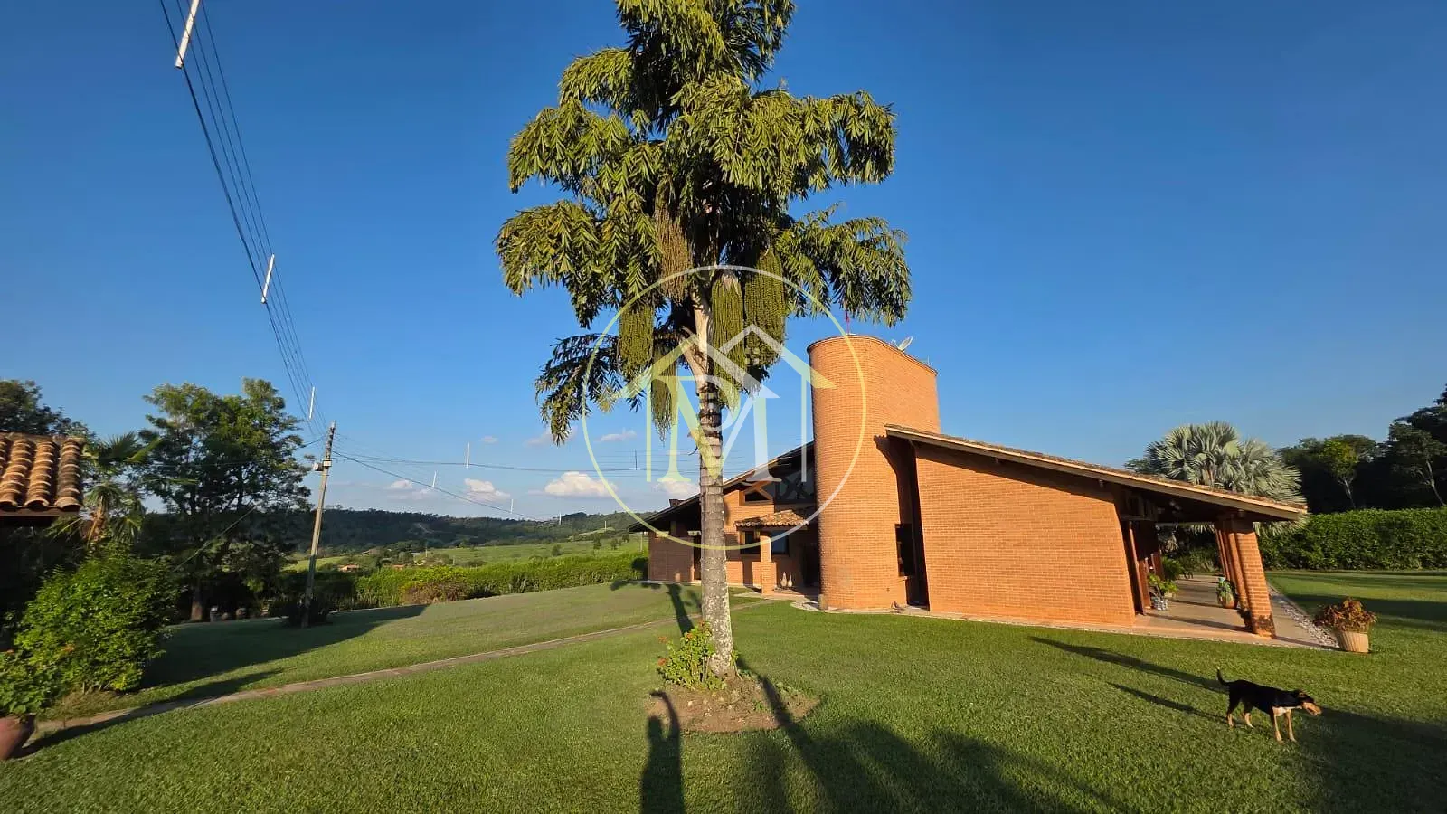 Fazenda, 12 hectares - Foto 46