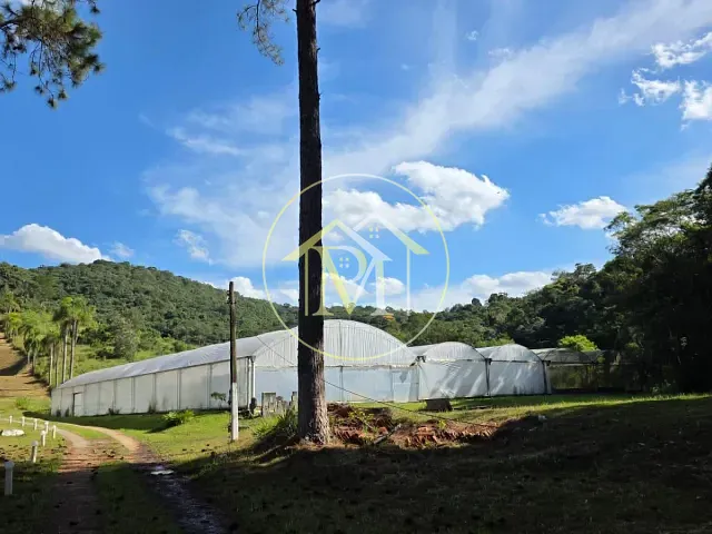 Sítio com 150000m² 3 quartos e 4 banheiros, à venda, no bairro Centro em São Roque