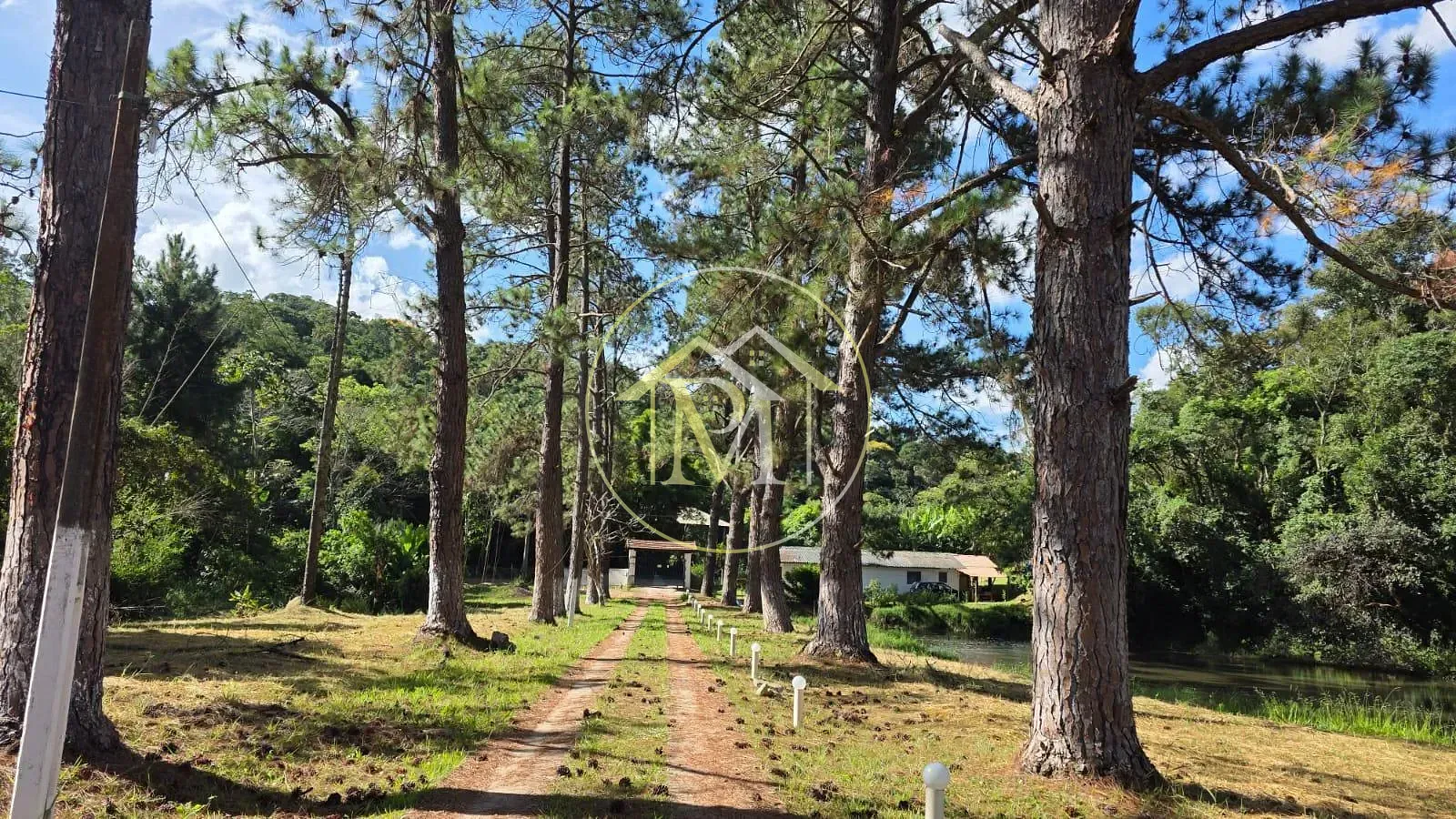 Fazenda, 15 hectares - Foto 4