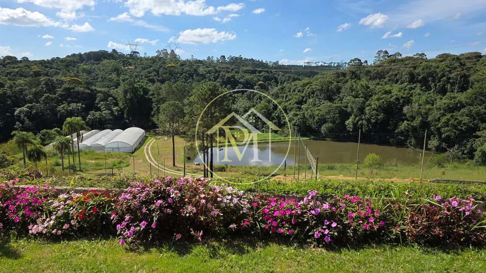 Fazenda, 15 hectares - Foto 29