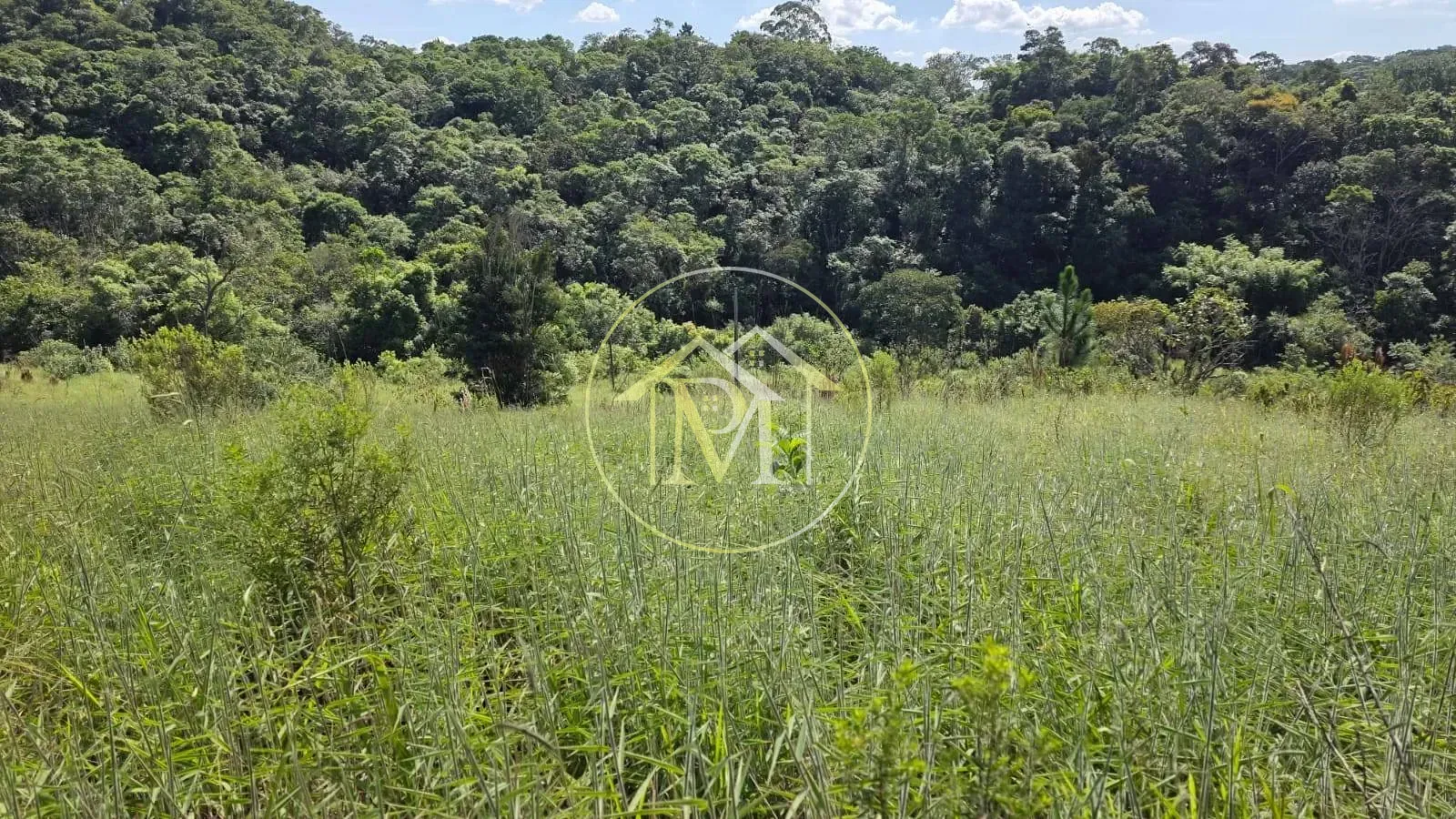 Fazenda, 15 hectares - Foto 31