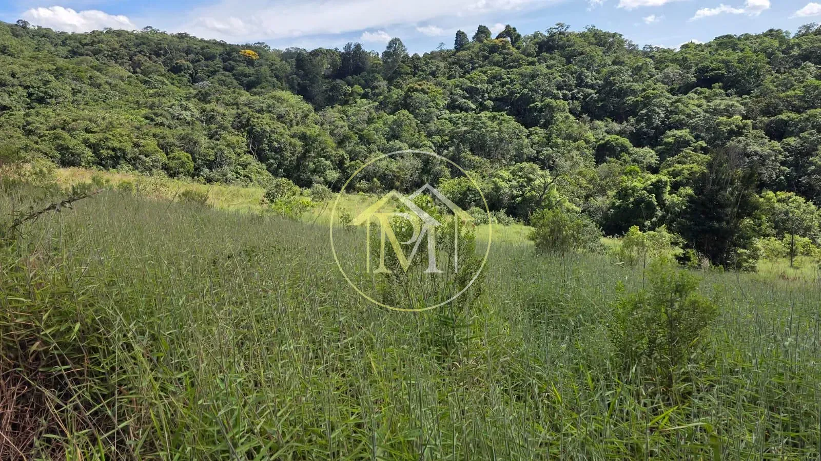 Fazenda, 15 hectares - Foto 35
