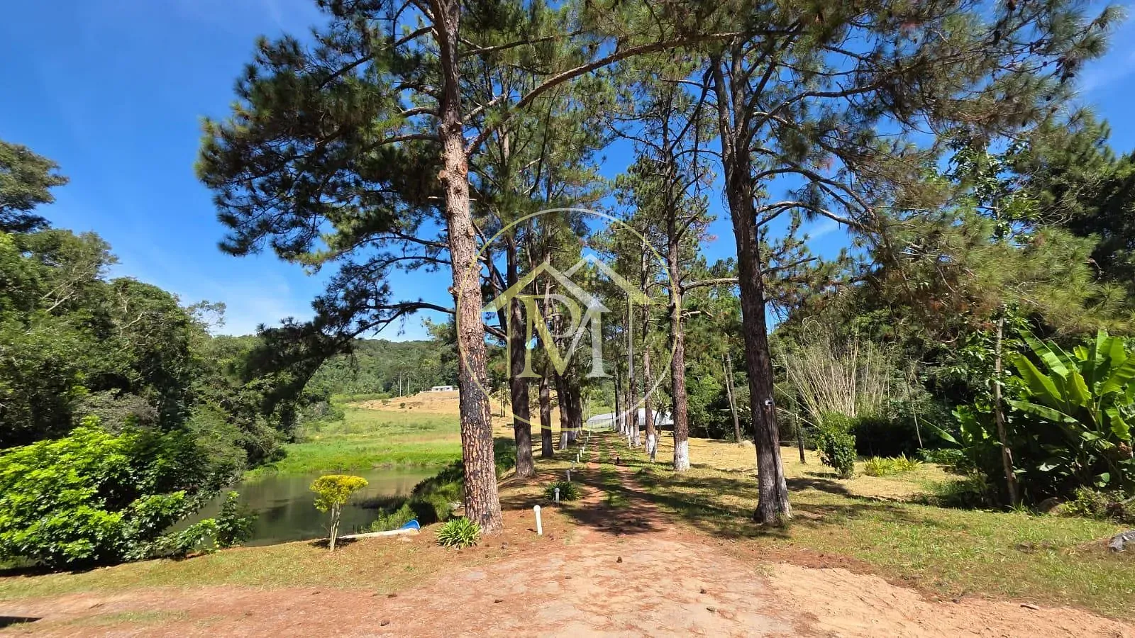 Fazenda, 15 hectares - Foto 40