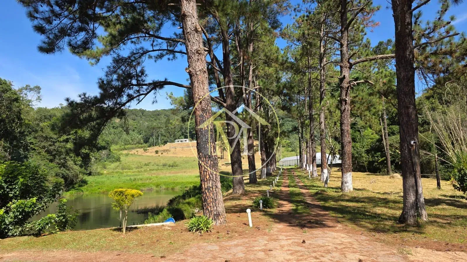 Fazenda, 15 hectares - Foto 41