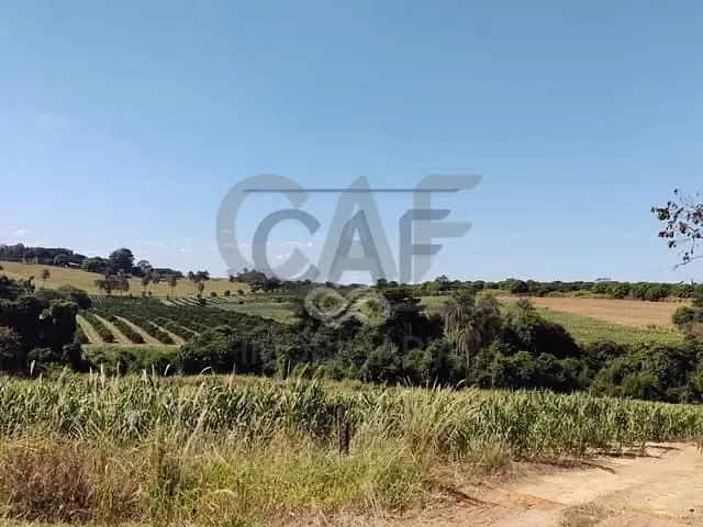 Sítio com 212270m² 4 quartos e 1 banheiro, à venda, no bairro Área Rural em Jaguariúna