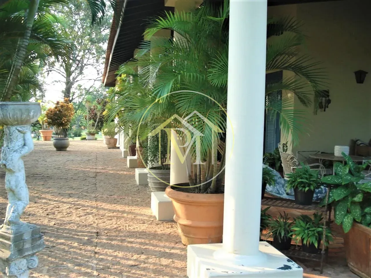 Fazenda, 22 hectares - Foto 7