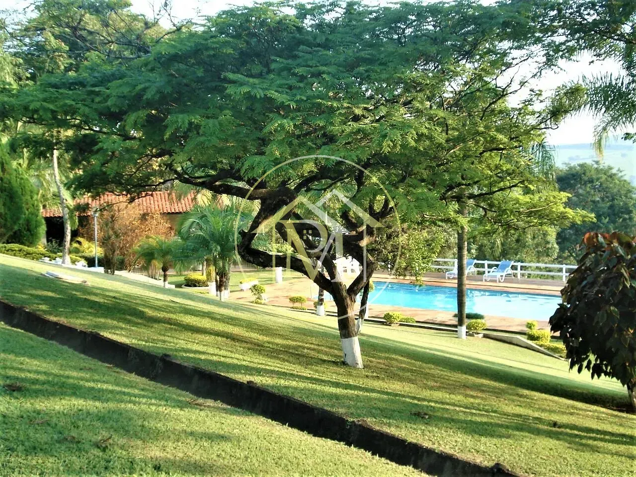 Fazenda, 22 hectares - Foto 19