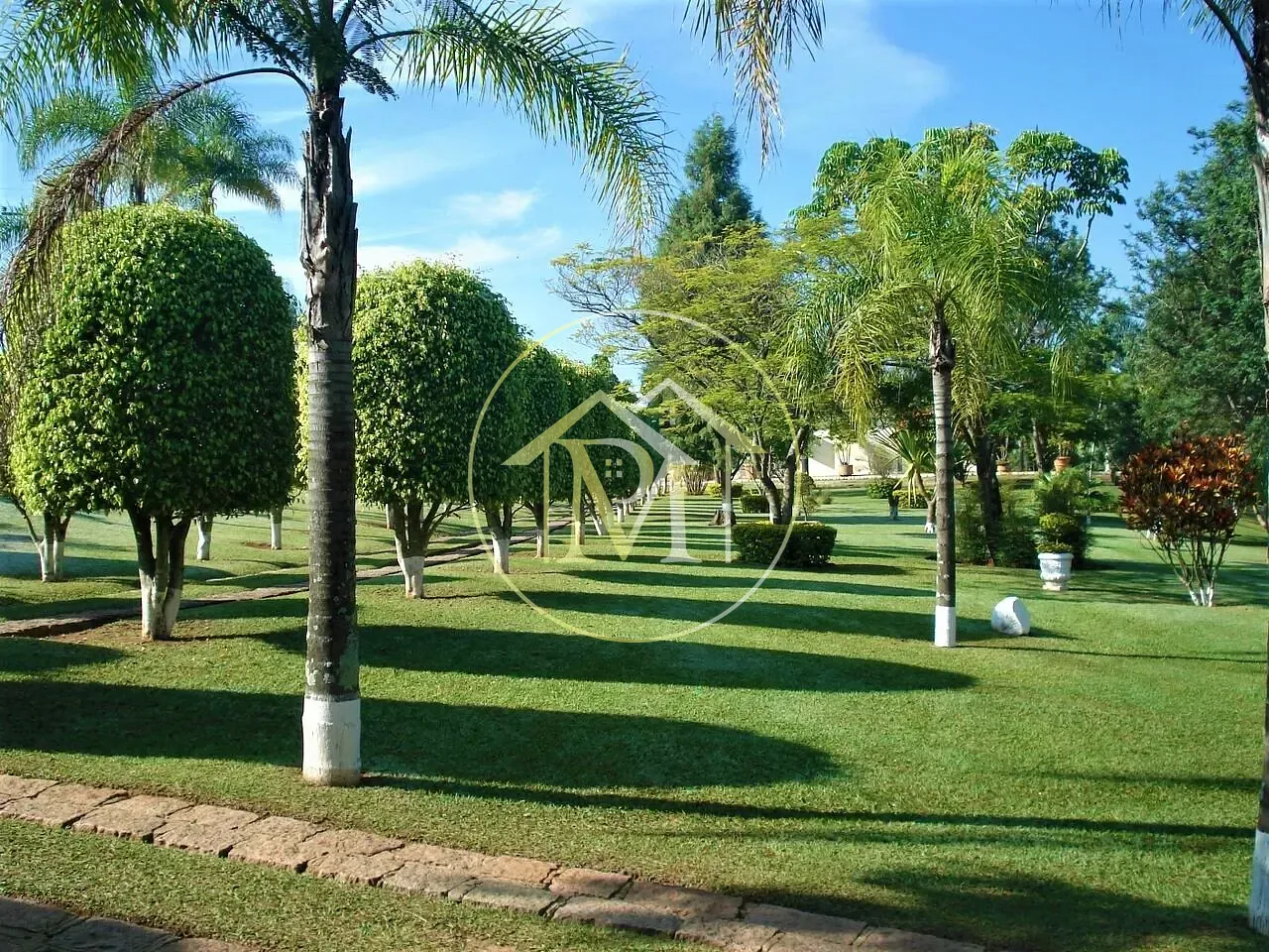 Fazenda, 22 hectares - Foto 22