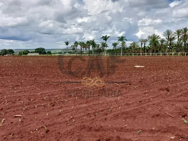 Sítio com 20235m², à venda, no bairro Área Rural de Artur Nogueira em Artur Nogueira