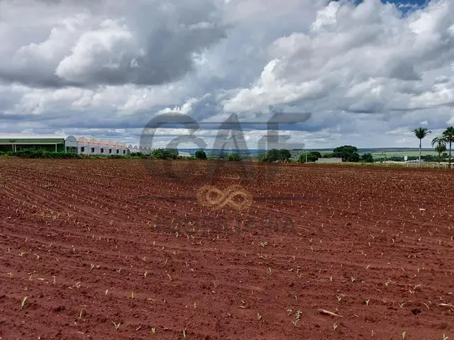Sítio com 20235m², à venda, no bairro Área Rural de Artur Nogueira em Artur Nogueira